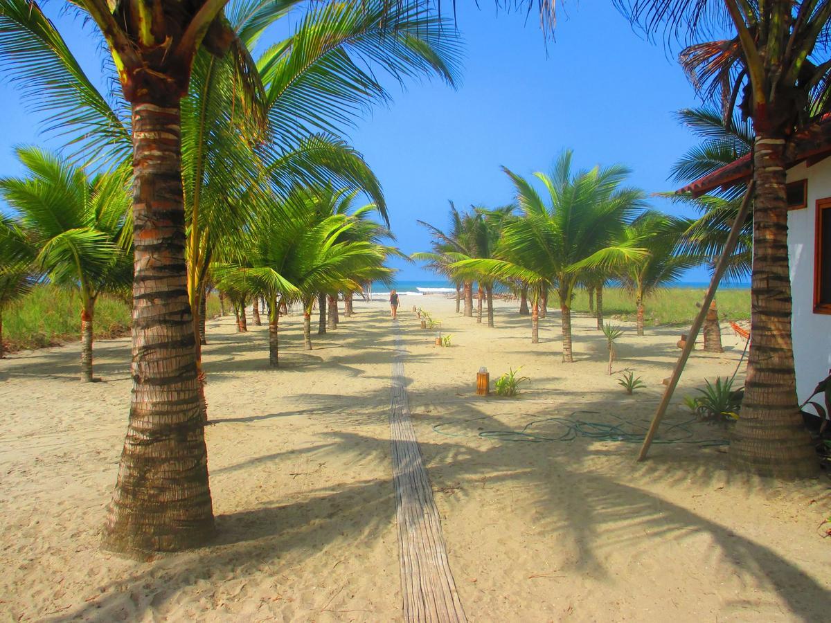 Beach Front Bungalows At The Coconut Canoa Esterno foto